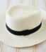 Stylish Summer Hat