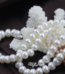 Freshwater Pearl Necklace
