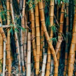 Sustainable category image